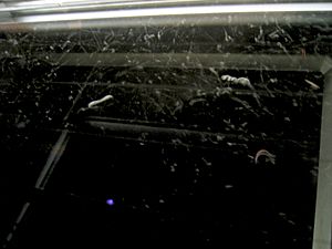 Cloud chamber bionerd