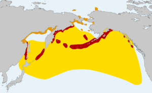 Fratercula corniculata distribution map cropped.png