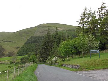 Graystones from Whinlatter Road.jpg