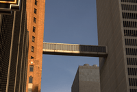 GuardianSkyBridge