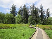 Little Campbell River Park