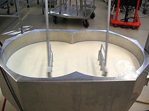 Milk Vat