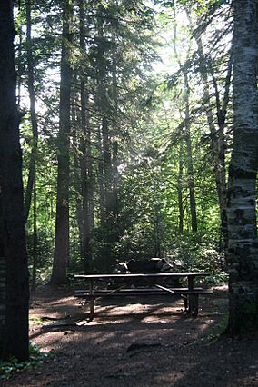 Moose Brook State Park (2605354825).jpg