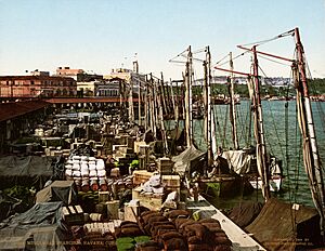 Muelle San Francisco, Havana, Cuba, 1904