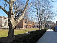 Museum Quadrangle, Springfield MA