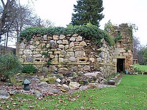 Newmore Castle 2008.JPG