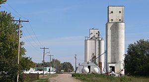 Grain elevators in Ong