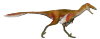 Pectinodon UDL.png