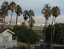 Playa del rey lax