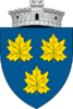 Coat of arms of Păltinoasa