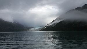 Reid Glacier in Glacier Bay National Park