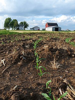 Richfield Wisconsin farm.jpg