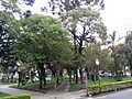 Rio branco square