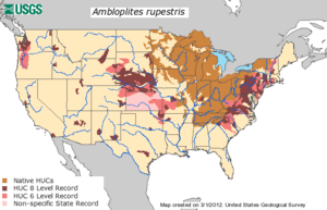 Rock bass distribution in the United States