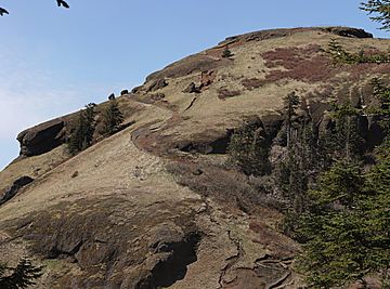 Saddle Mountain 2076s.JPG