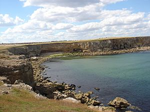 South Shields coastline