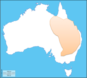 Spotted Bowerbird Distribution.png