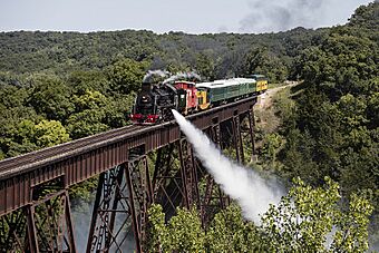Steam train crosses the Bass Point Creek Bridge.jpg