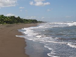 TortugueroBeach