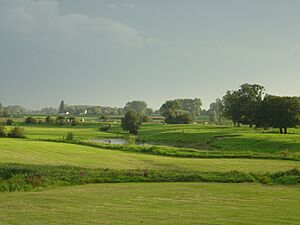 Polders in Olst-Wijhe