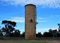 UranaWaterTowerSpider.JPG