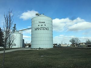 Village of Manteno.jpg