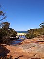 Wattamolla - panoramio (5)