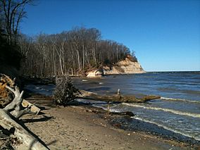 WestmorelandStateParkBeach.jpg