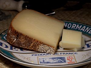 Abbaye de Bellocq (cheese)