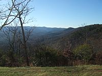 Amicalola Falls State Park view