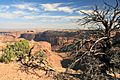 Aztec Butte Trail 06 (4105632044)