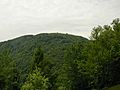 Ballon d'Alsace (1247 m) (1)