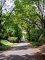 Baxter Estates in Late Summer 2