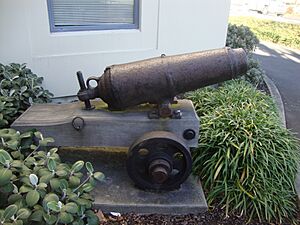 Blenkinsopp's Cannon 81