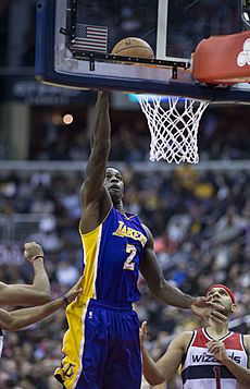 Brandon Bass with Lakers.jpg