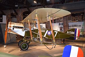 Bristol F.2B Fighter (41176896050)