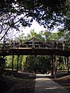 Camelback Bridge, Normal, Illinois.jpeg