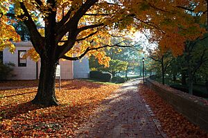 ChapelWalkDenisonUniversityGranvilleOhio