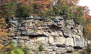 Cliffs above Gauley-27527