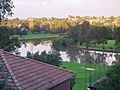 Cooks river Hurlstone Park