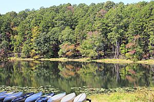 Daingerfield sp reflection