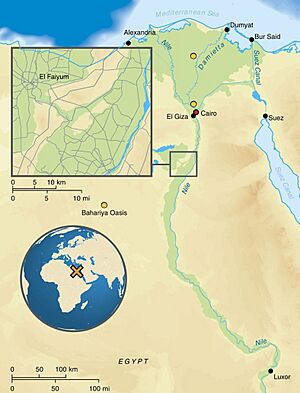 El Faiyum map