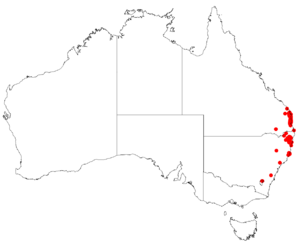 EucalyptusbancroftiiDistributionMap.png