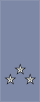 French Army (sleeves) OF-7.svg