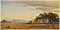 Harvesting near San Jose, California (Boston Public Library)