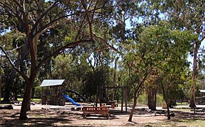 Heywood Park playground