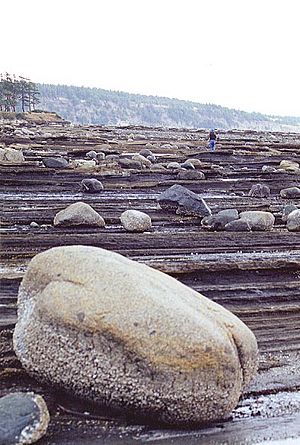 HornbyRocks