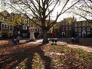 Houses At Richmond Green, London-95369622