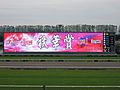 Kyoto Racecourse Turf Vision