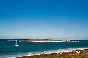 Lancelin Island, October 2010